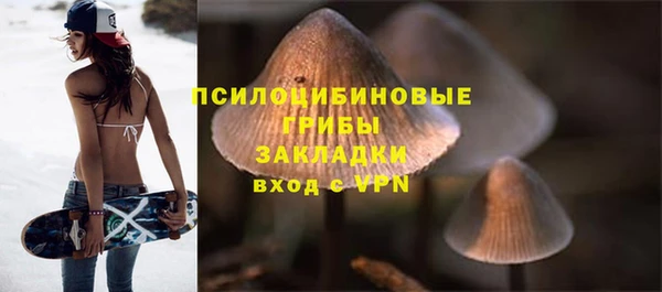 винт Абинск