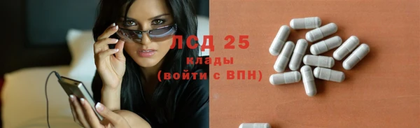 твердый Новозыбков