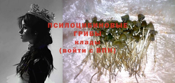 твердый Новозыбков