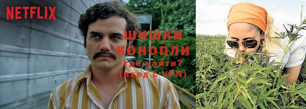 apvp Алзамай