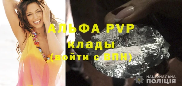 индика Новодвинск
