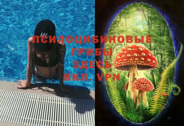 мдпв Абдулино