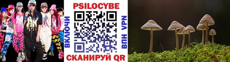 Псилоцибиновые грибы Cubensis Ряжск