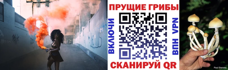 omg онион  Ряжск  Псилоцибиновые грибы мухоморы 